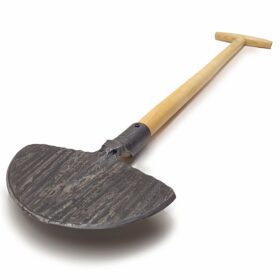 1545 - Perenn delare - 85 cm ask T-stjälk