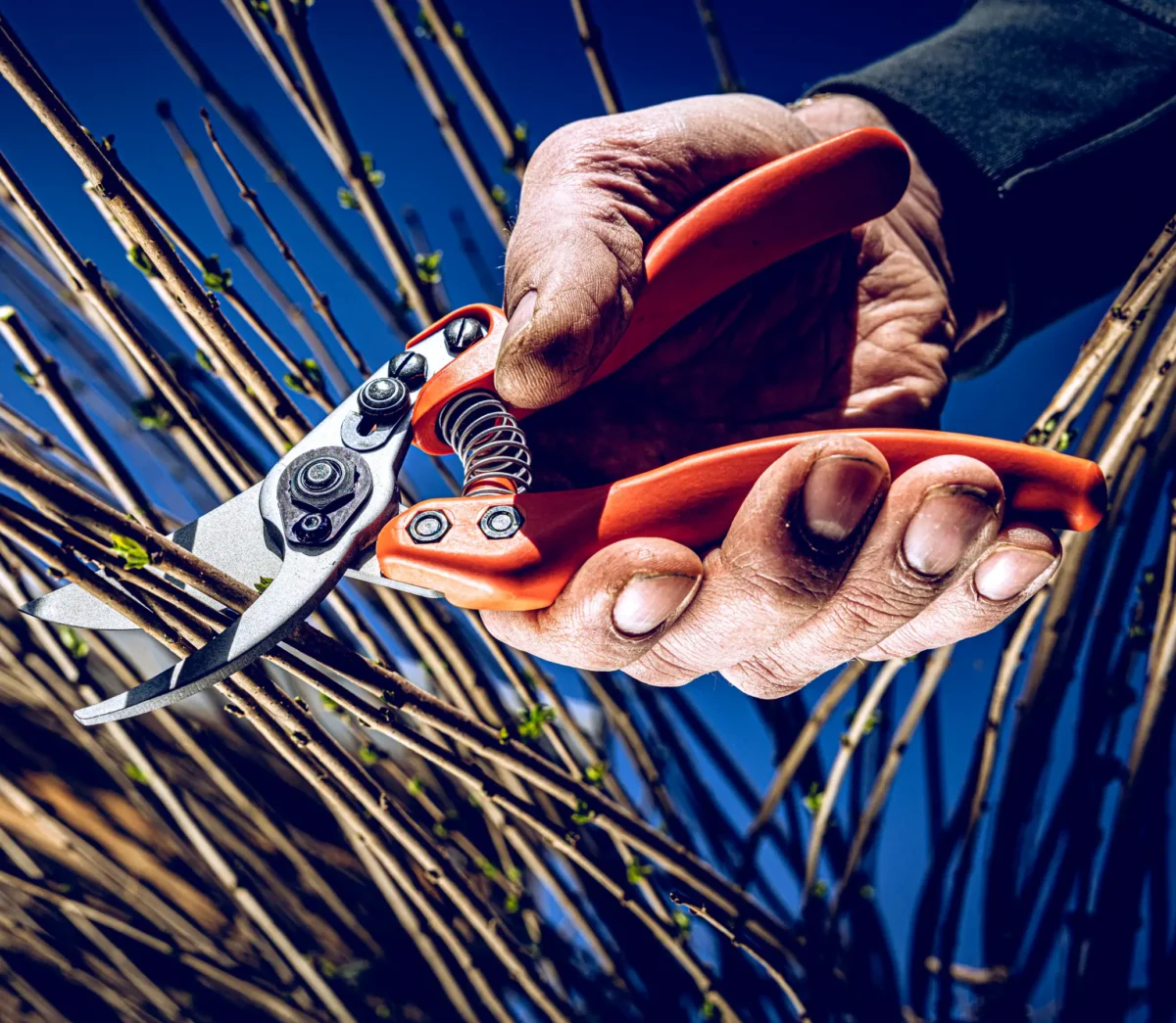 Löwe 11 Precision Clean Cut för kvinnor