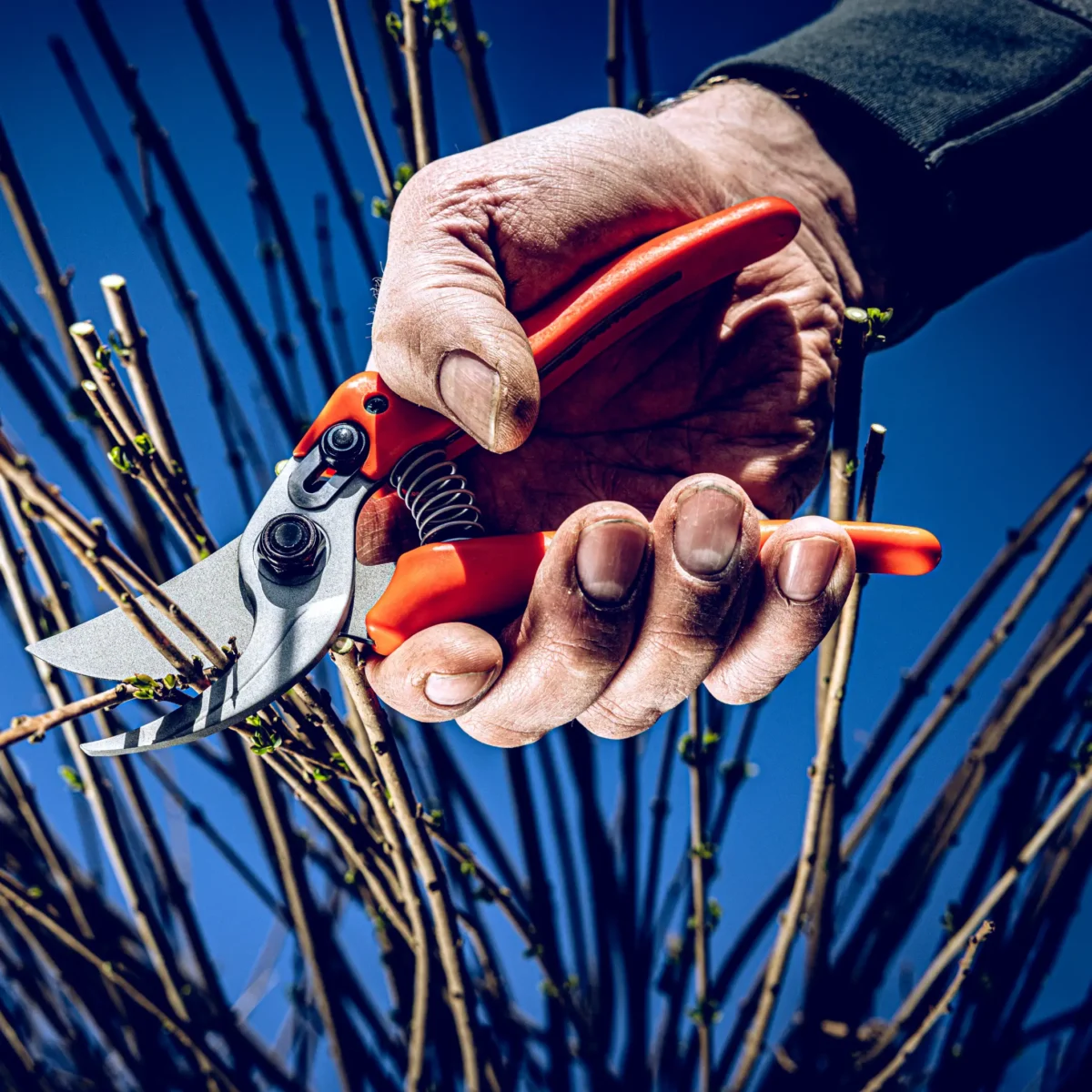 Trädgårdssax Löwe 14.107 Economic Clean Cut för mindre händer