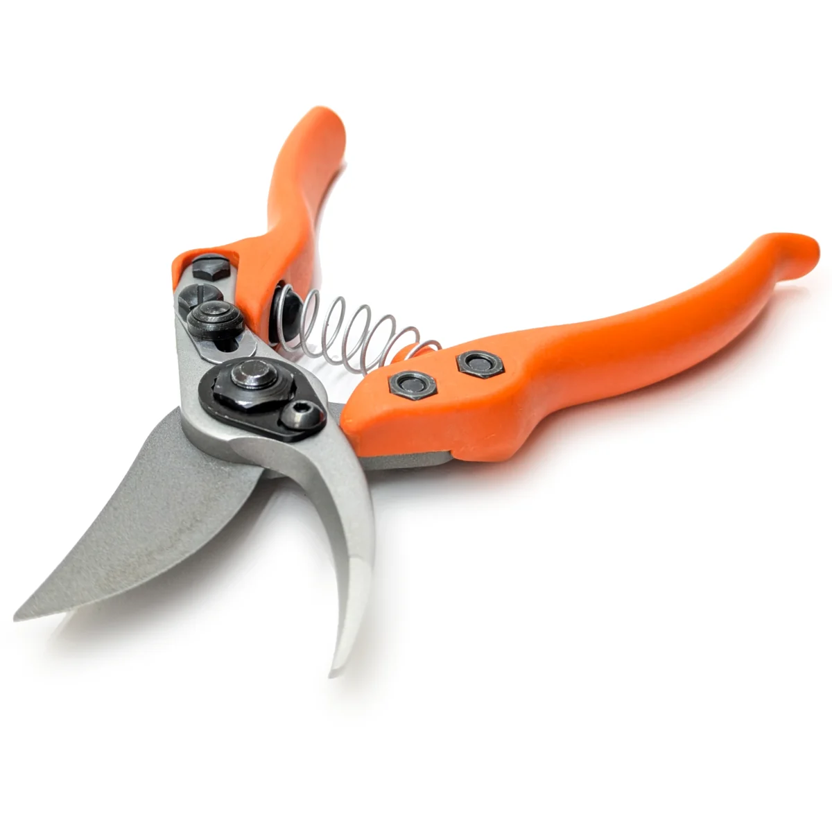 Löwe 12 Precision Clean Cut liten sekatör för kvinnor